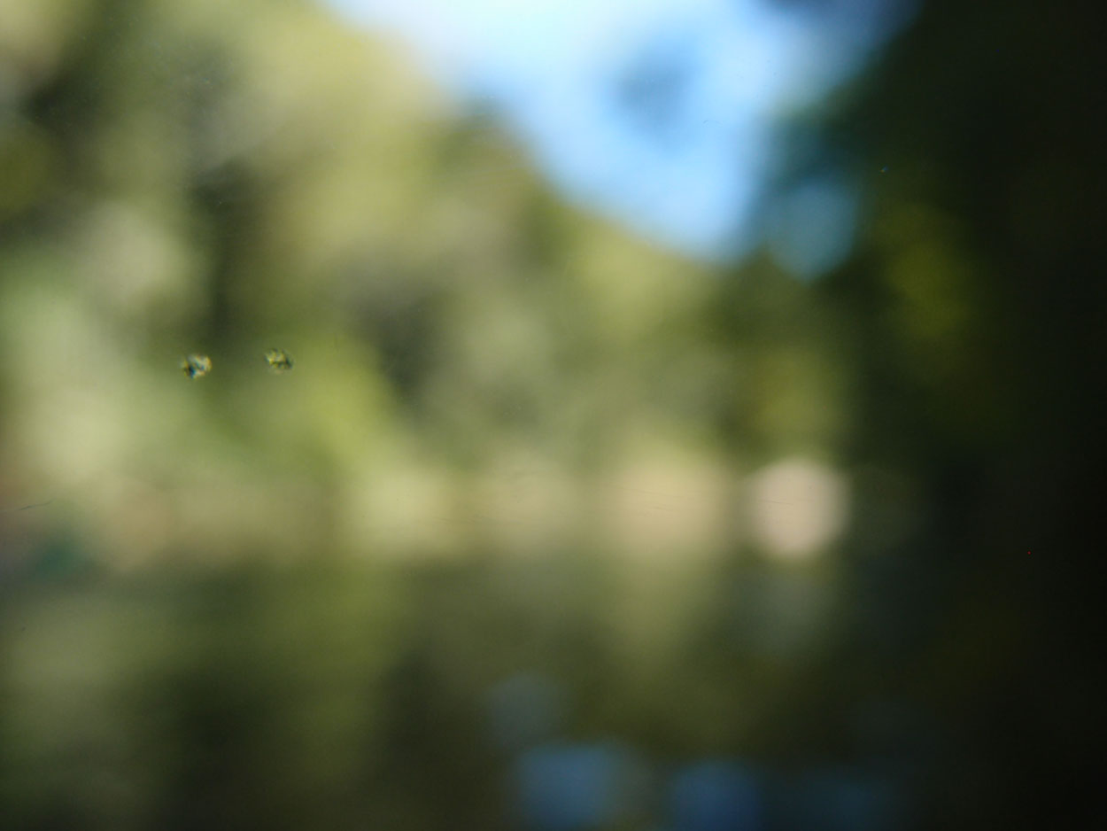 2016-02-10 am Fluss (Foto, Video)